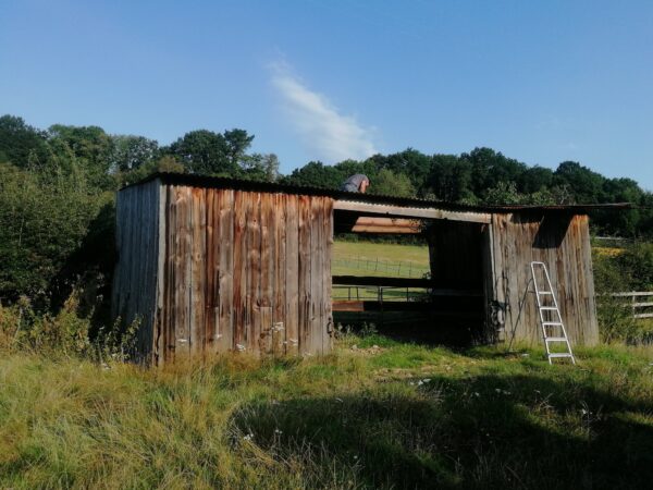 old wooden barn with big open entrance dilapidated in field