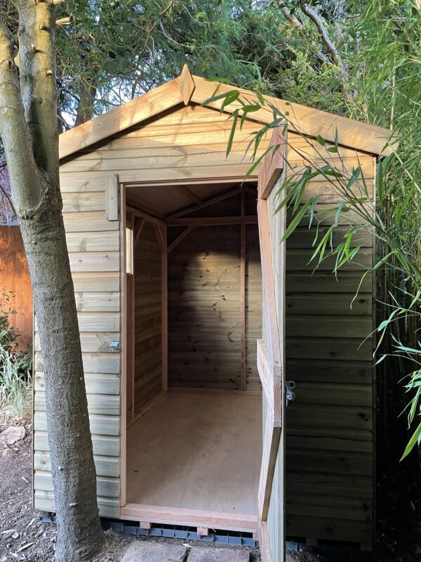 small wooden shed behind a tree in the corner of a garden