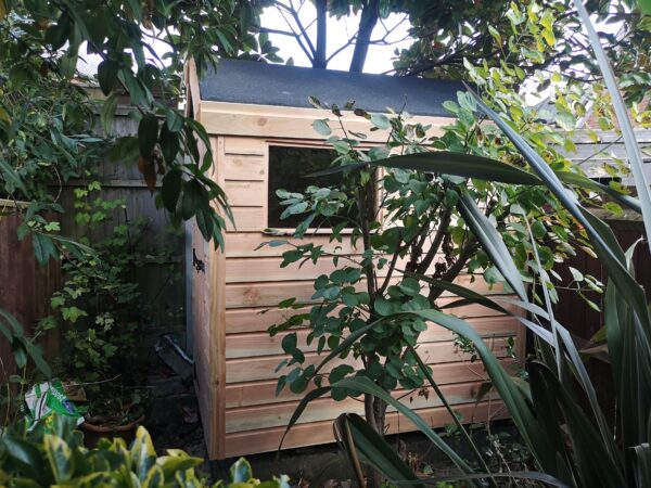 small wood shed behind bushed